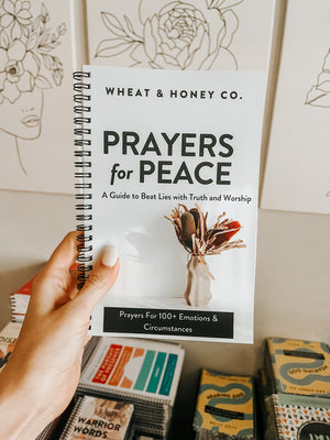 Prayers for Peace: A Guide to Beat Lies with Truth & Worship