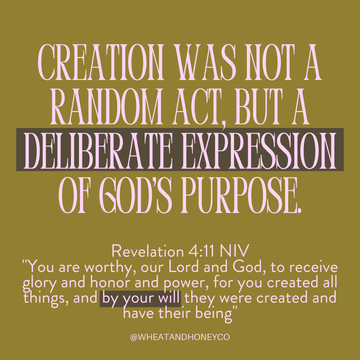 Creation: A Deliberate Expression of God's Purpose