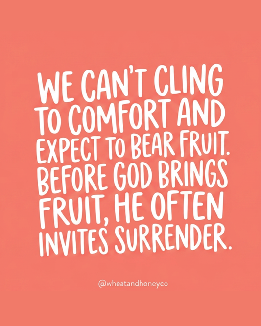 John 12 Devotional | Living a Life Poured Out