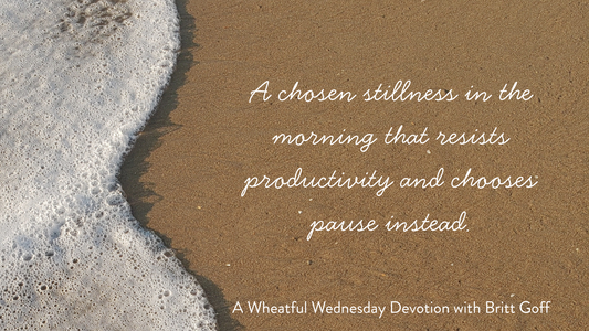 Gathered and Grounded