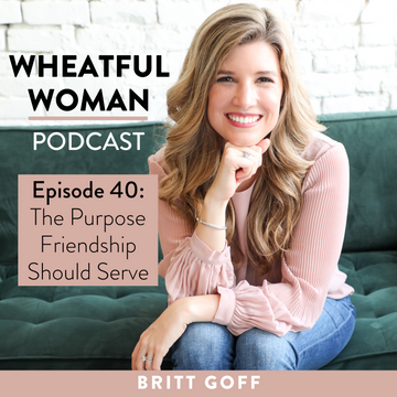 Week 1 of 4: The Purpose Friendship Should Serve