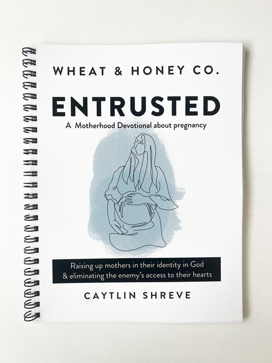 Entrusted: A Motherhood Devotional about Pregnancy