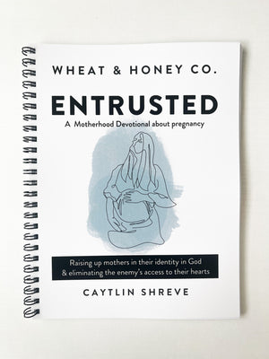 Entrusted: A Motherhood Devotional about Pregnancy