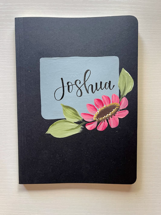 Joshua Pink & Blue Scripture Journal