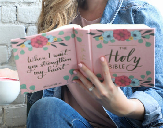 The Holy Bible - Blush, ESV Journaling Bible